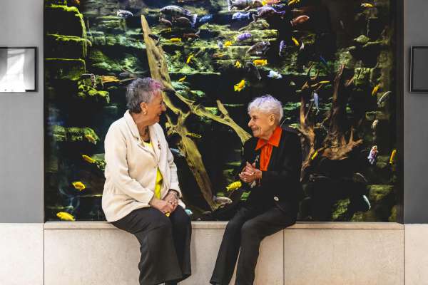 Jir te museo fèsc stèr ben la jent de età. (Foto: Michele Purin)
