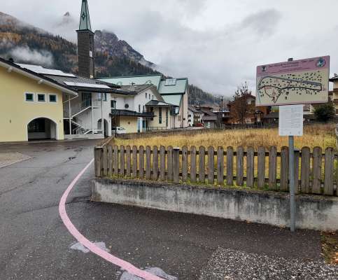 La linia de color violet deida la persones con problemes cognitives.
