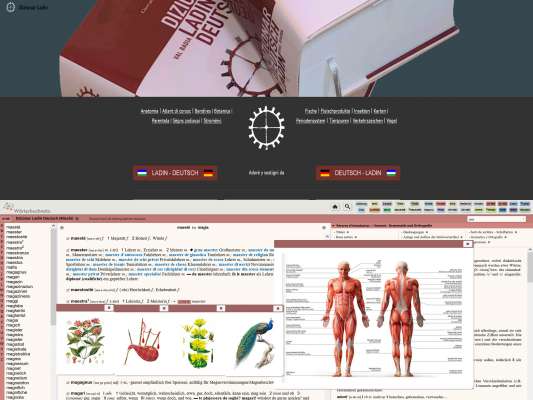 Le dizionar online é deventé n stromënt d’ütl por n gröm de porsones. Al vëgn demeztrú ajorné y svilupé inant te sües funziuns.
