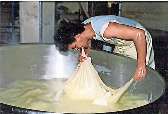 Bacagn cruziei per l priesc del lat.
