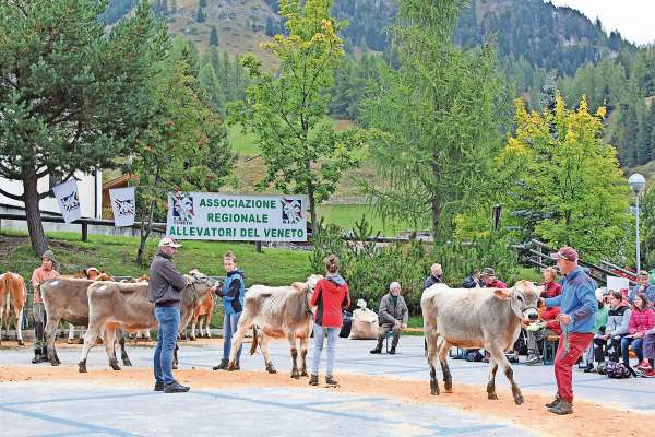 Gran discusci&oacute;n ntourn a la proposta de destin&eacute; pert de la couta de souranot ai bacagn.
