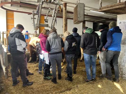 I zidladus jogn tratan la competiziun. foto:MD
