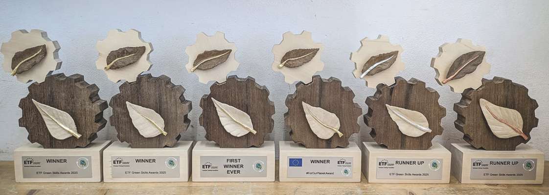 Chisc ie i trofei che i sculeies y la scul&eacute;es dla Prufesciunela &agrave; realis&agrave; per la European Training Foundation.
