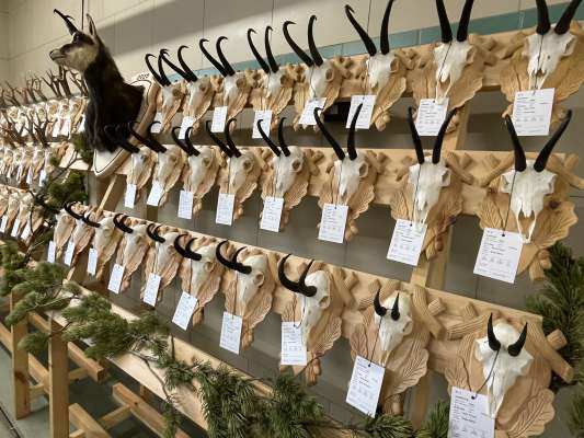 Mostra di corgn daverta ala popolaziun