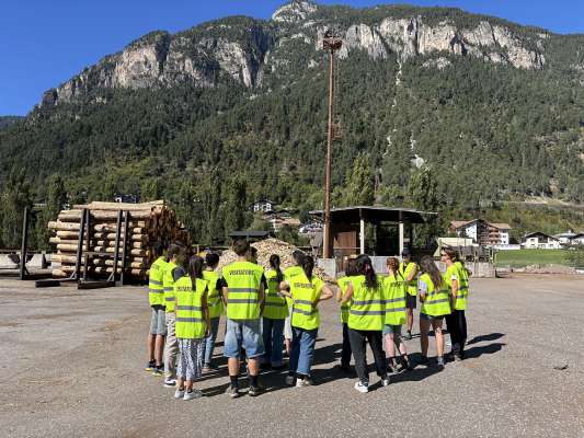 I joegn del Consei de EUSALP &agrave; cognosci&ugrave; la filiera del legn. 
