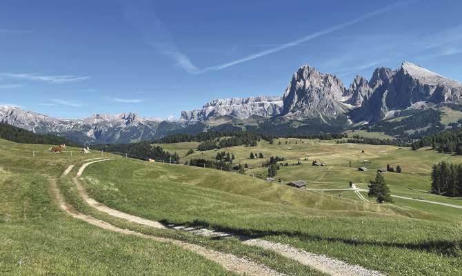 Sar&agrave;l pa tosc in&ograve; plu gheneda sun Mont de S&euml;uc?
