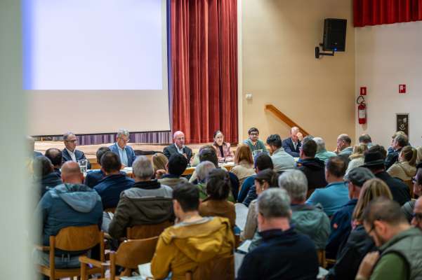 CT Al Plan/San Martin: identité y cultura ladina é sëgn tl statut
