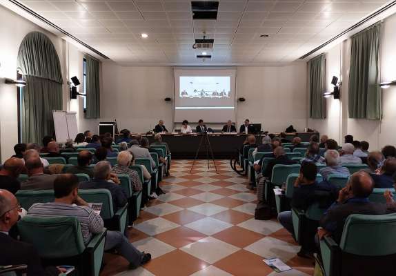 Dominies coletives e cataster