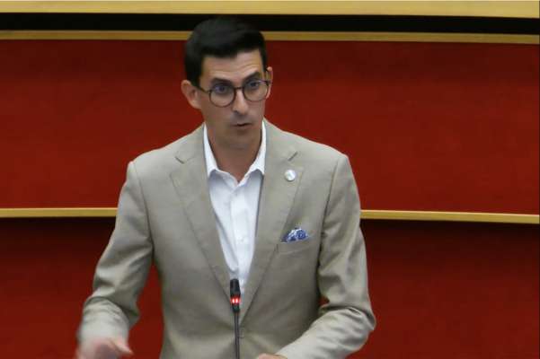 L conseier Luca Guglielmi end&egrave;na sie intervent te Consei Provinzial.
