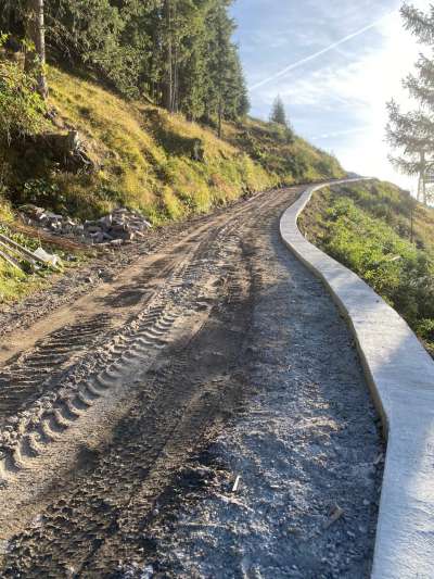 ASUC de Cianacei: gregn intervenc te paisc e tel bosch