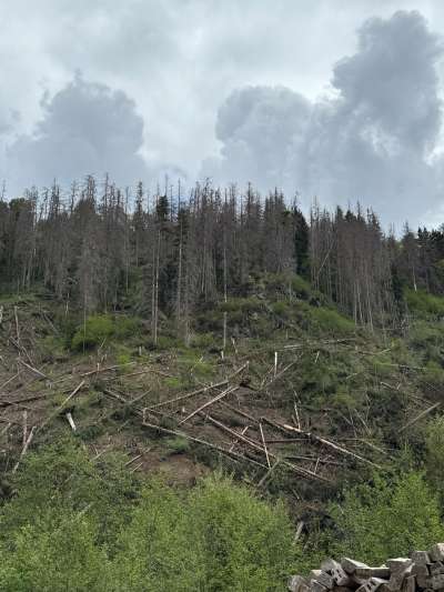 Strada Longega - Picolin stlüta ai 24 y 25 d’otober
