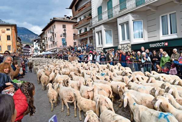 Un rodol de fedes che no s&rsquo;aea ved&ugrave; ignante, su par piaza, intr&agrave; ra śente, menades da ra pastora Pamela, che &lsquo;s &agrave; abudes d&rsquo;istade su in Foses e ades ra s&rsquo;in v&agrave; ves el Friul.
