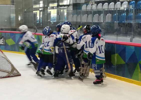 media/k2/galleries/8742/thumbs/HockeyU9ONLINE.jpg