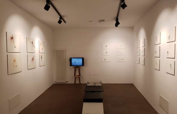 media/k2/galleries/8931/thumbs/ursulatavella_2.jpg