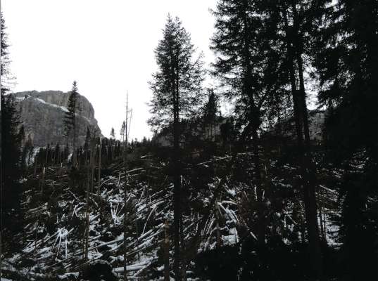 media/k2/galleries/9154/thumbs/Schermata_2019-01-20_alle_12.13.51.jpg