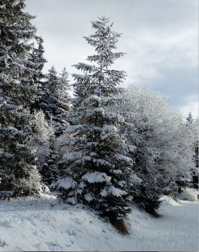 media/k2/galleries/9554/thumbs/Schermata_2019-03-15_alle_18.49.52.jpg